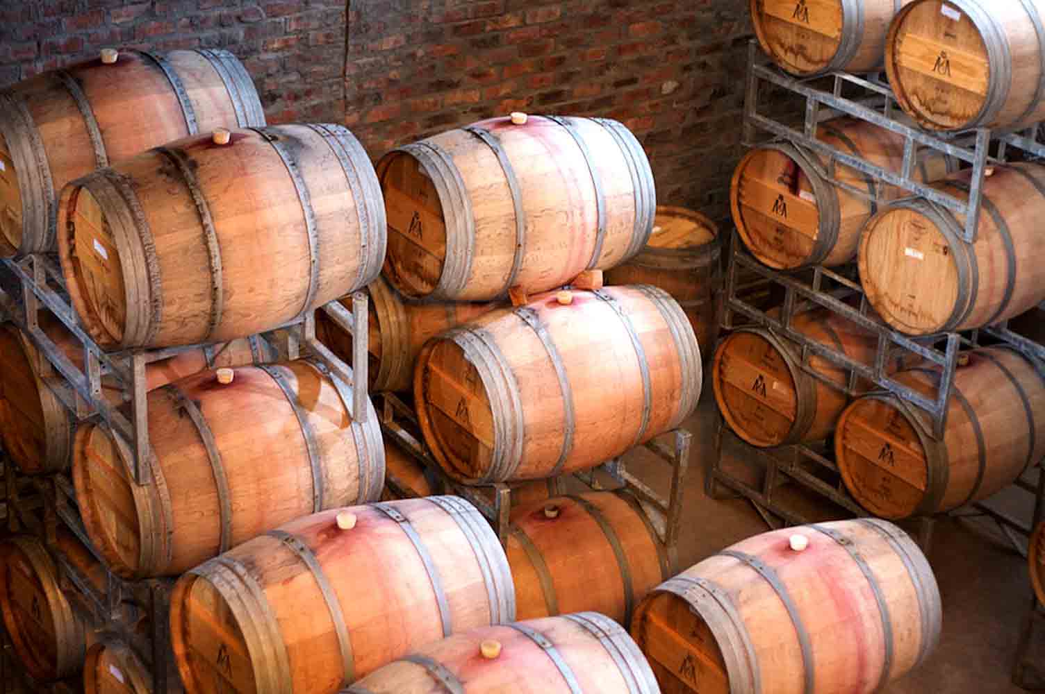 WineMaking with wine barrels in a cellar